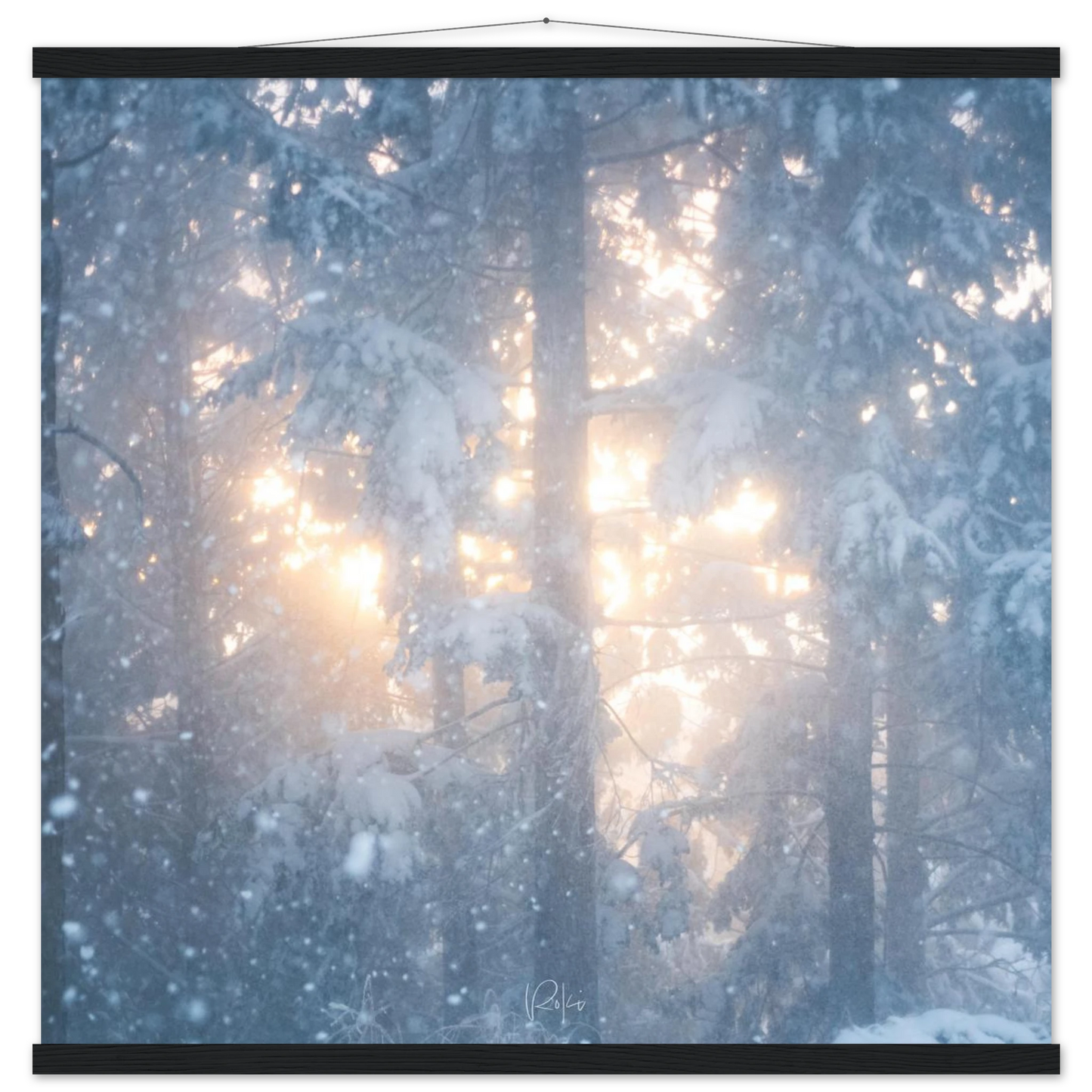 1b597a4e-7682-4ef6-b362-ab970edac79c