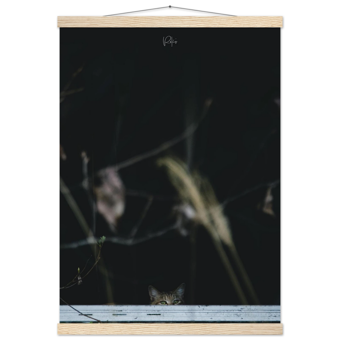 22fc7985-f08d-4a07-84ce-4a2d58239527