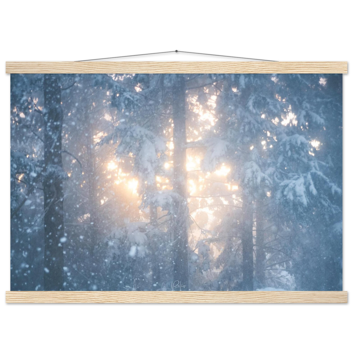 25600618-99ac-4404-bdb0-6ec1b66ad414