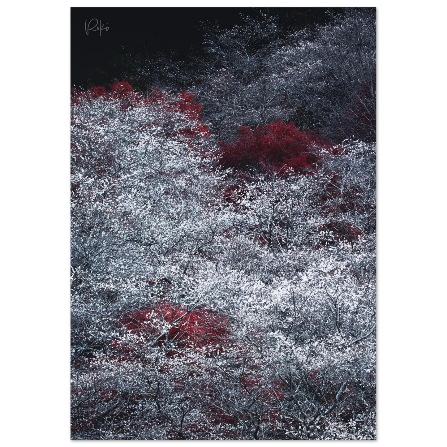4877c3db-9af7-40b8-a37e-1cdc6433f3c1