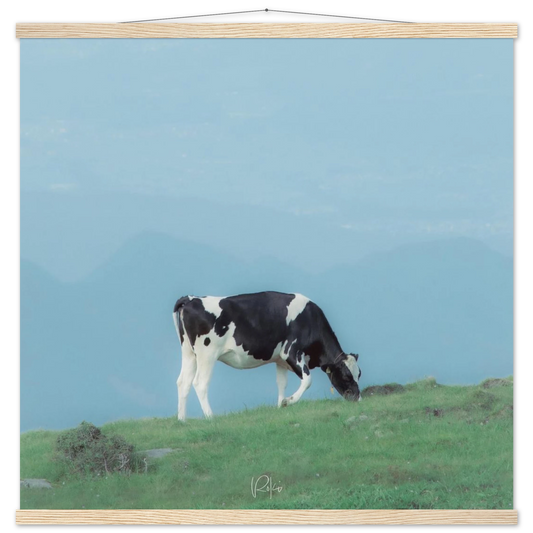 4c571ef6-e46d-43aa-af66-b5846beef459