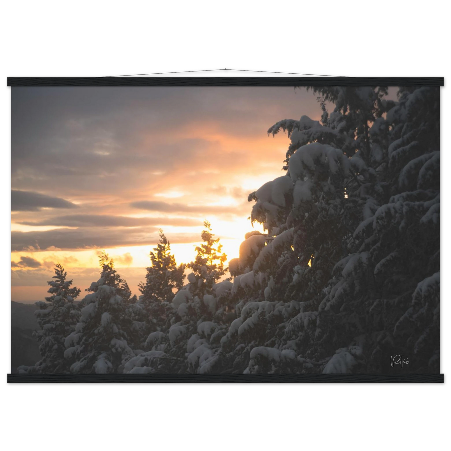 71d4d782-0027-4c8d-965e-74bc2e81cdd3