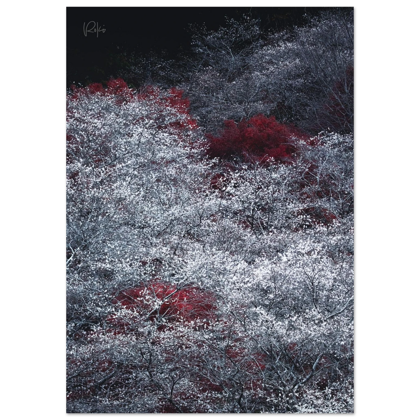 812c2d70-b1be-4b04-92d4-f7e2f682380c