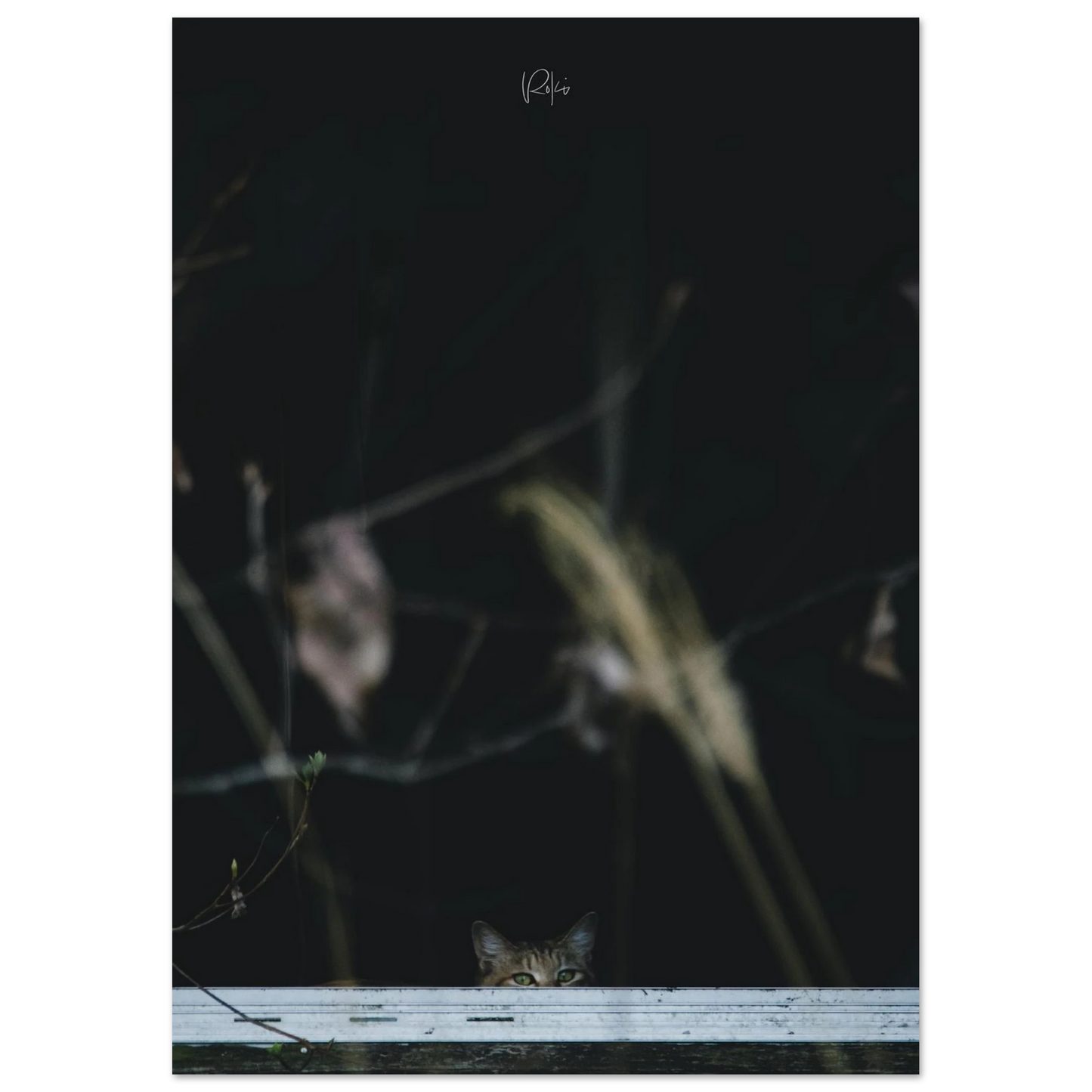 8989719d-6166-4518-96a4-6e99fe8ef1b6
