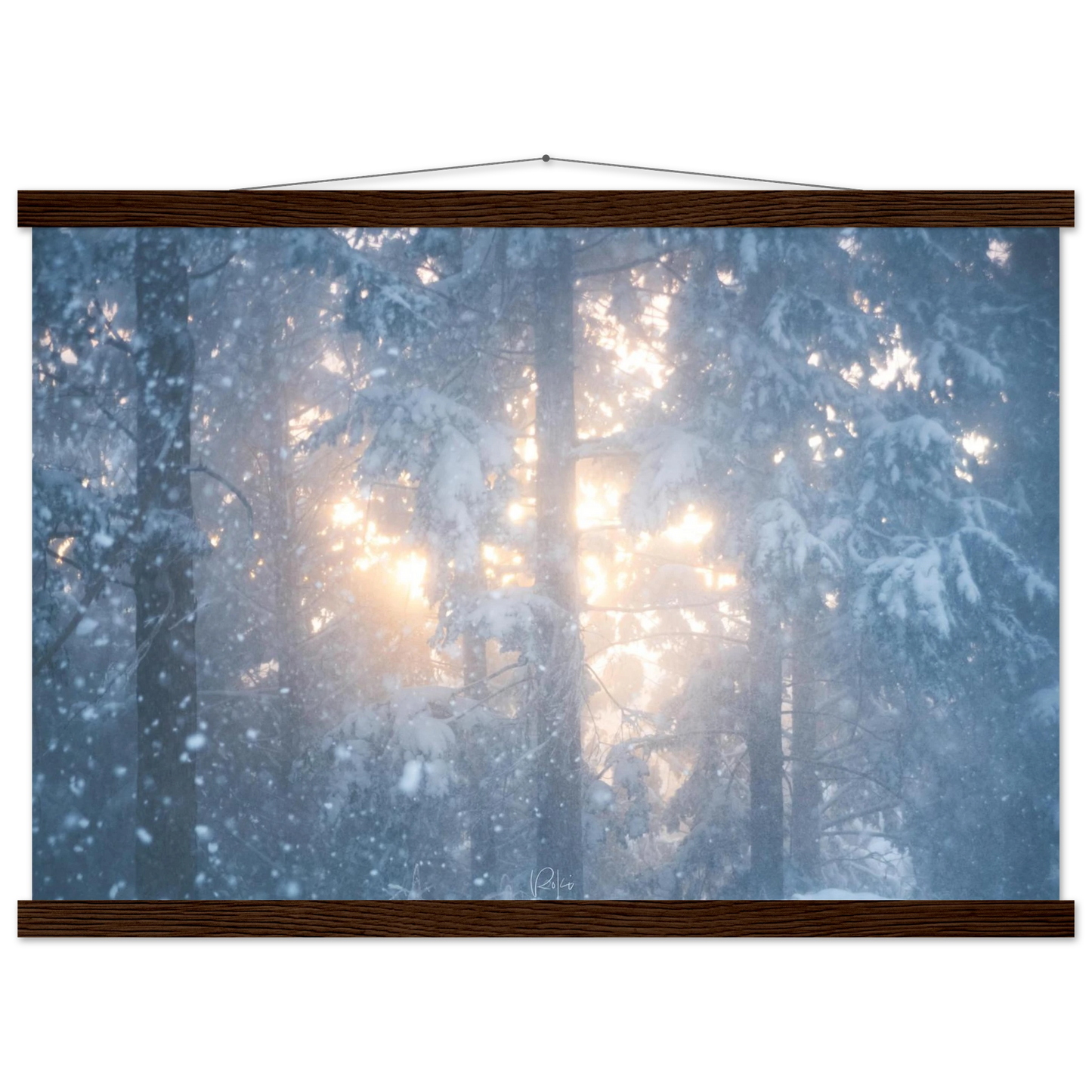 bb39a2cf-e9c5-4bc7-9ea7-b03b8a5a9ce4