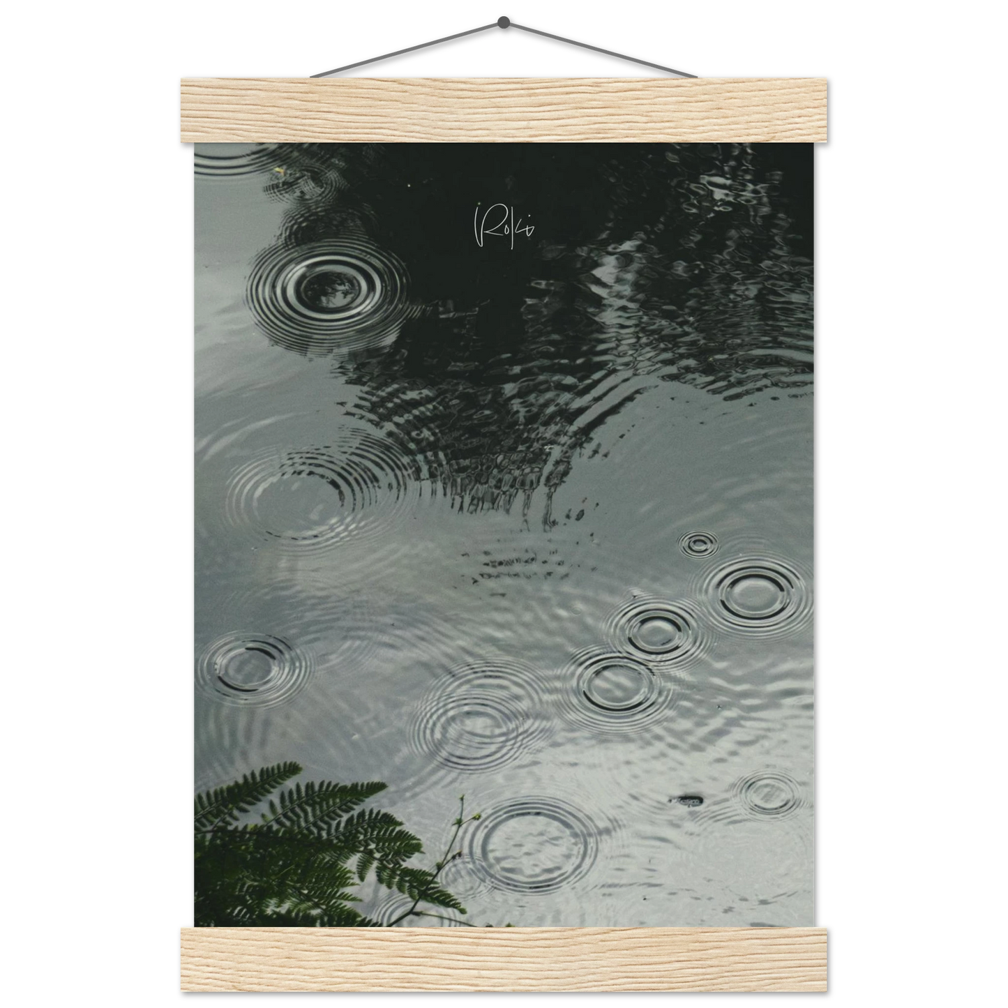 cc1ce51a-f360-428c-808d-b8dbcf146a78