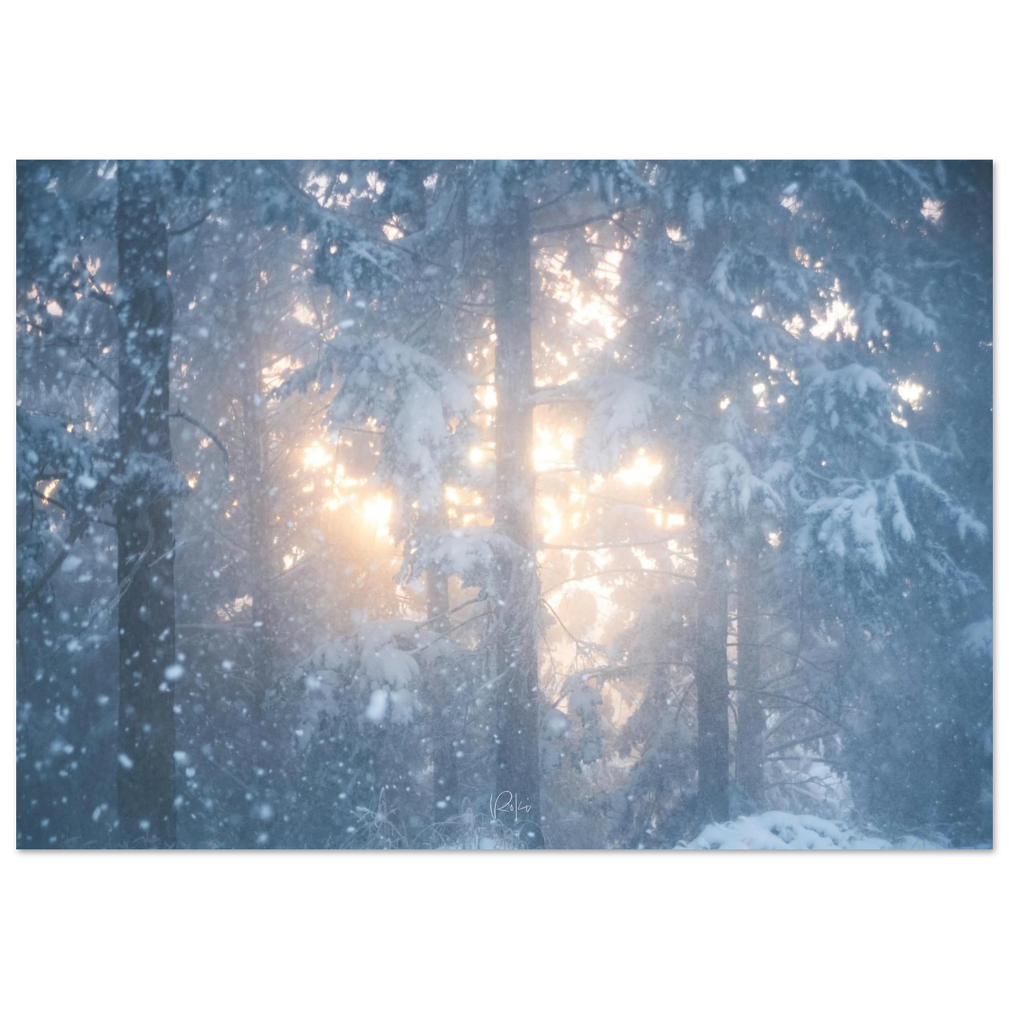 d4226067-a79a-4ce6-b475-1ae24e5928a1