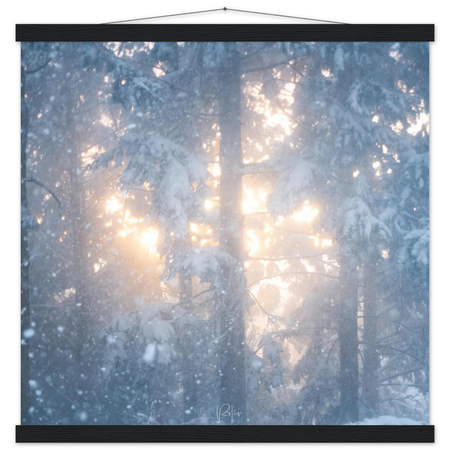 d7ba5725-645e-477c-a19e-96d6bba082d1