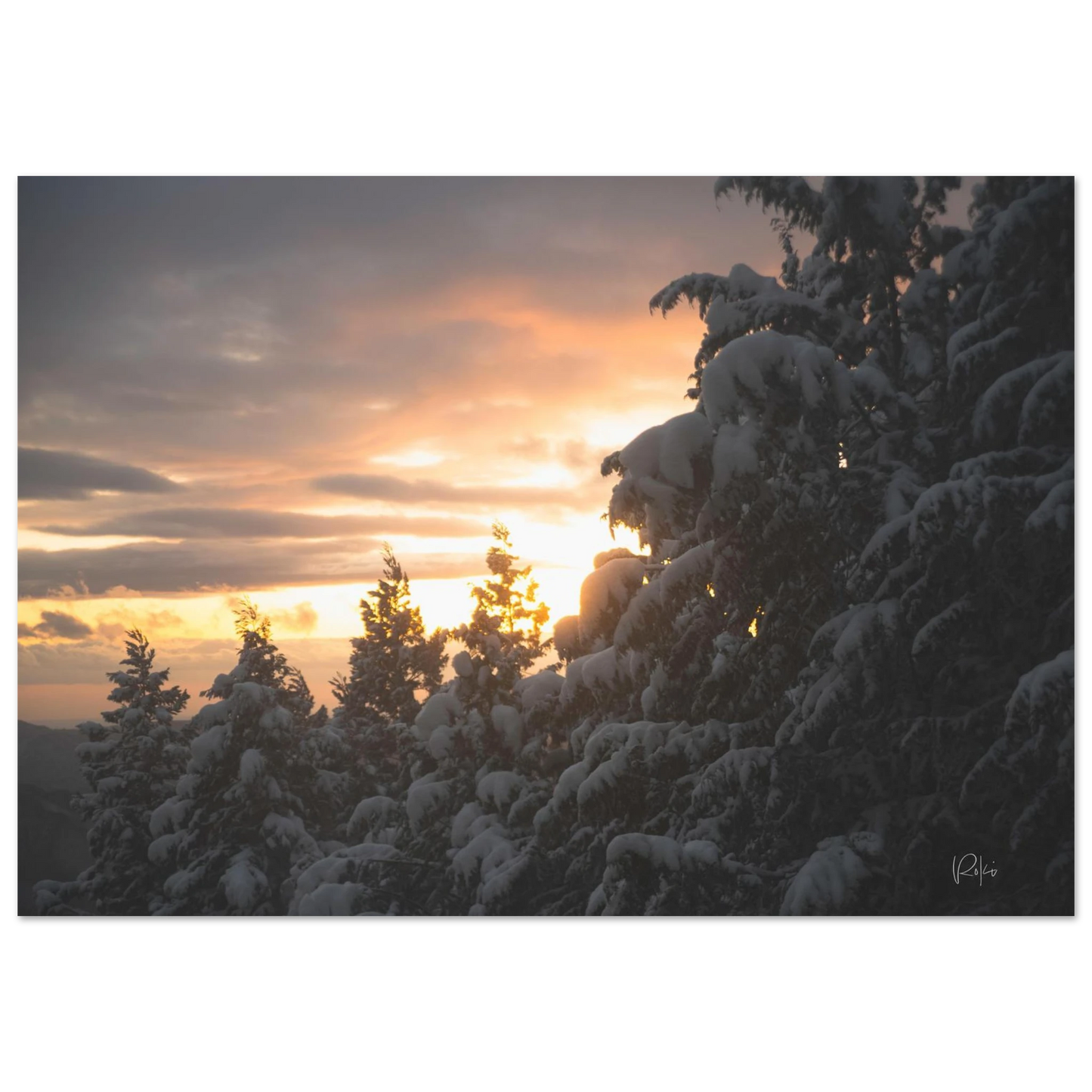 d82c0e88-0b70-49b0-aa8d-e70635338e06
