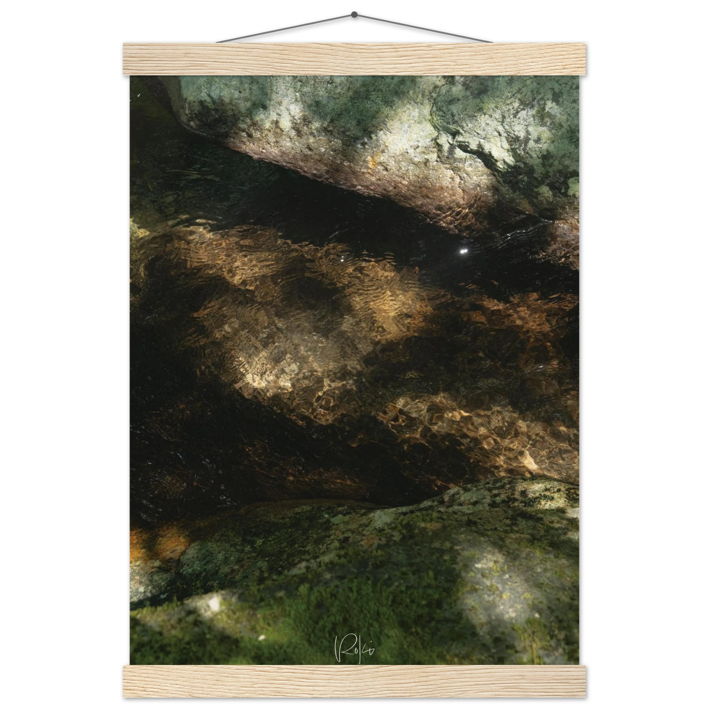01d2b798-9c4d-4495-8c3e-38c489ac2c80