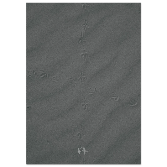 054d8209-464c-4039-b682-b68e31484b03