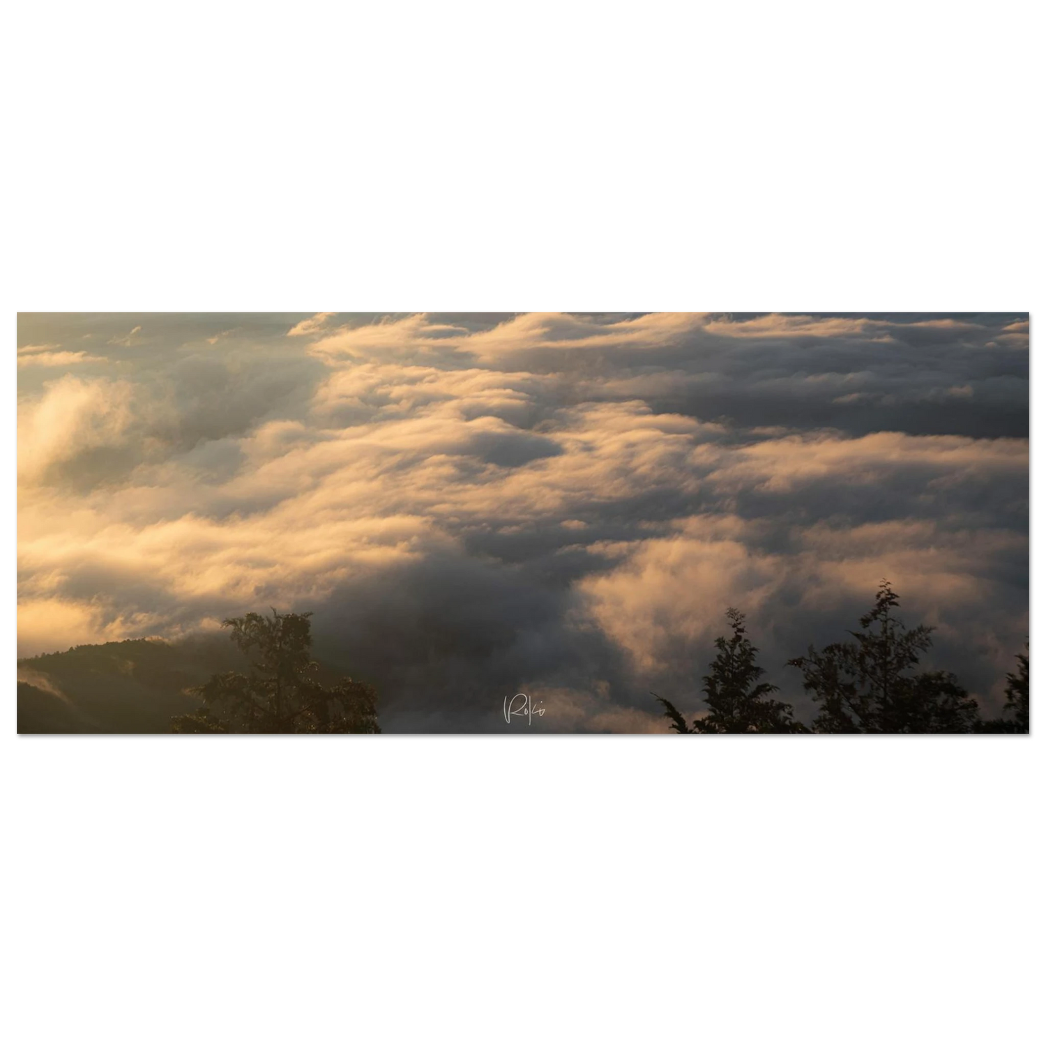 07d4038d-5b8f-4175-8530-6eaf3258d8e6
