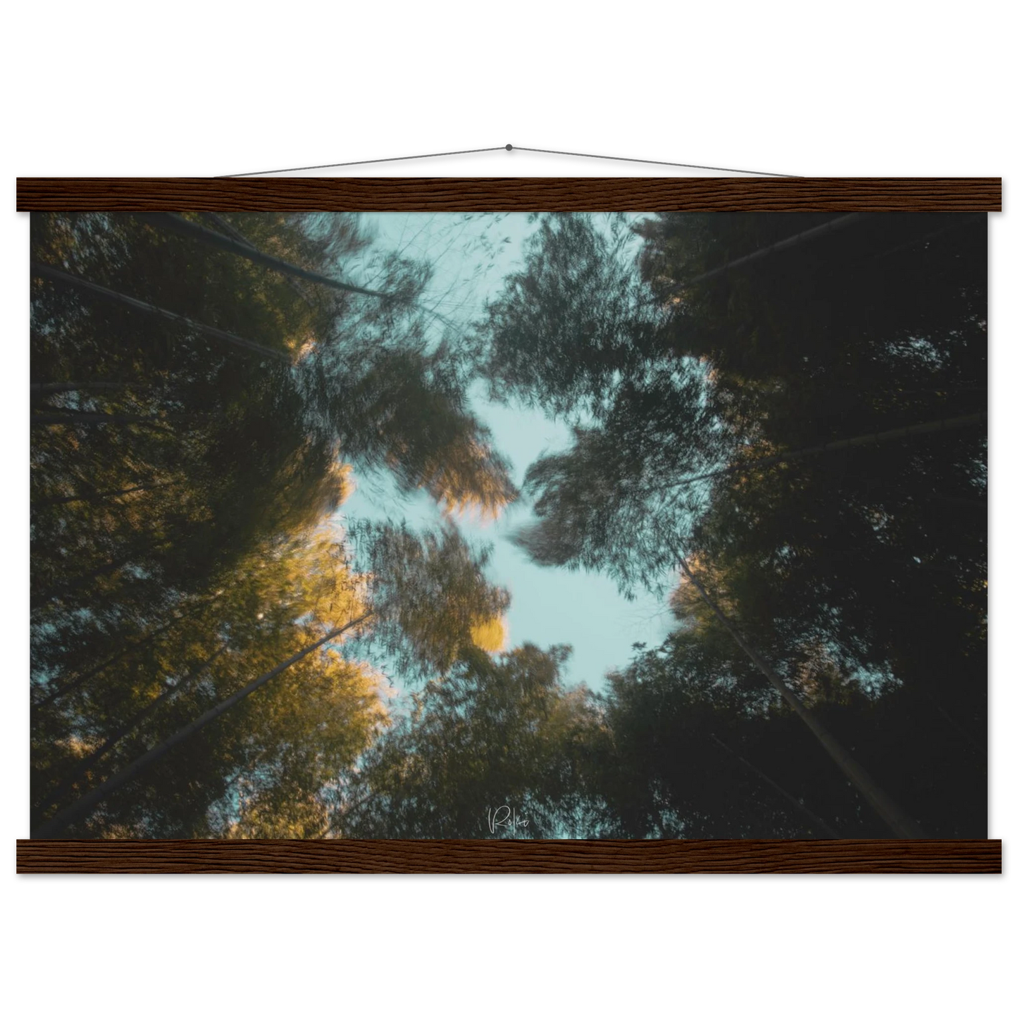 0aeabeea-6ea6-4ecf-91dd-f1a5d7dd5269