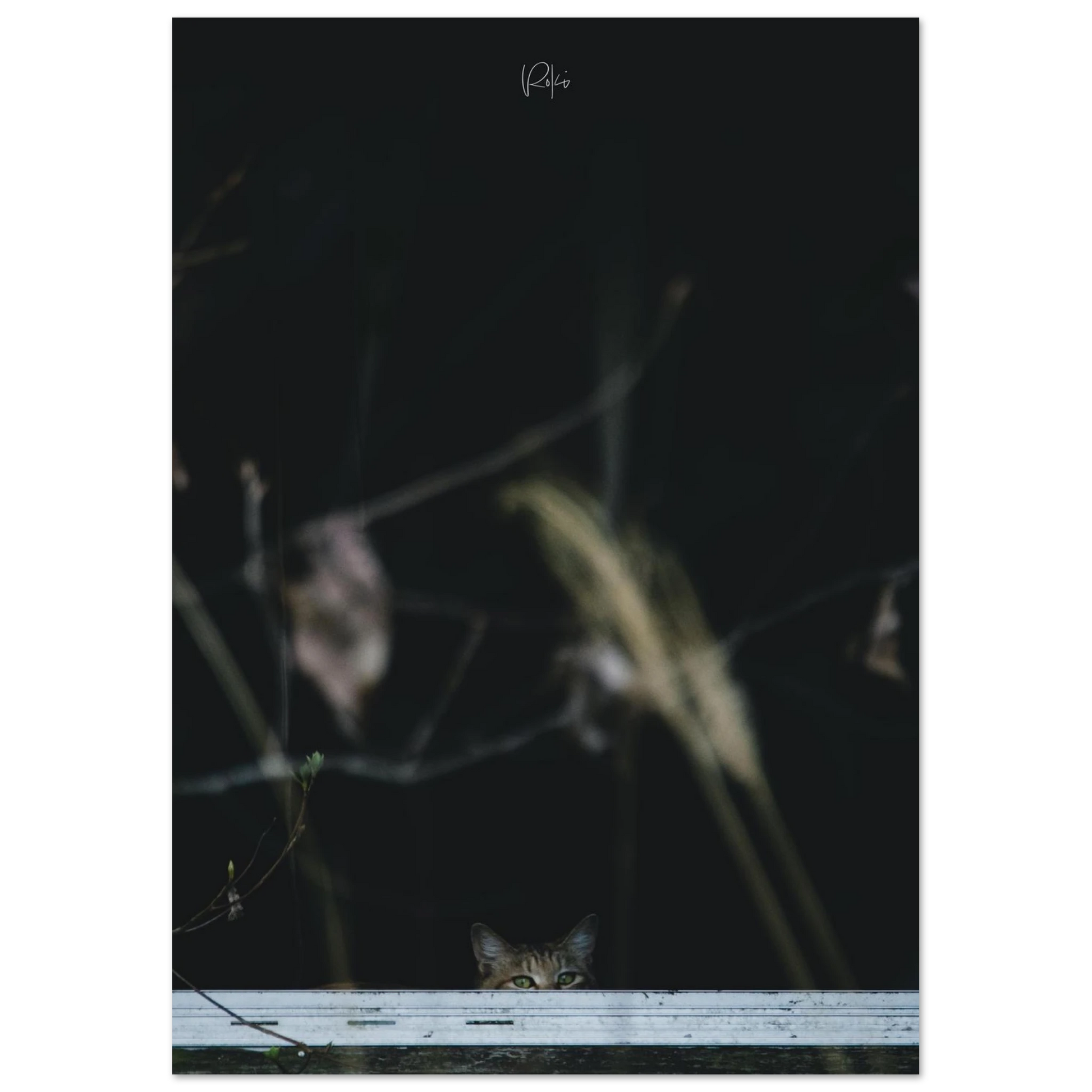 198c4b52-40a3-4932-bfd8-6ef0a8ea82ed