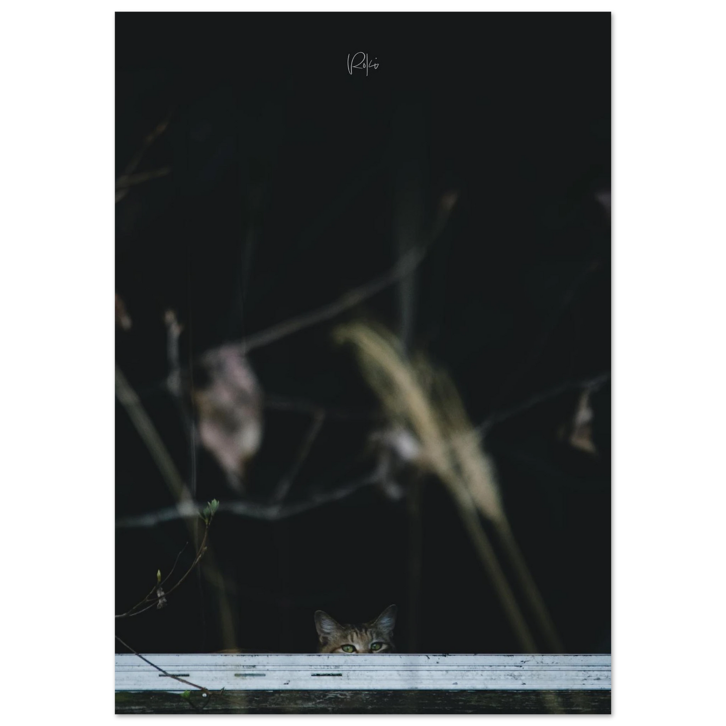 1b5ec629-b025-4ff1-b31f-09cc064bb470
