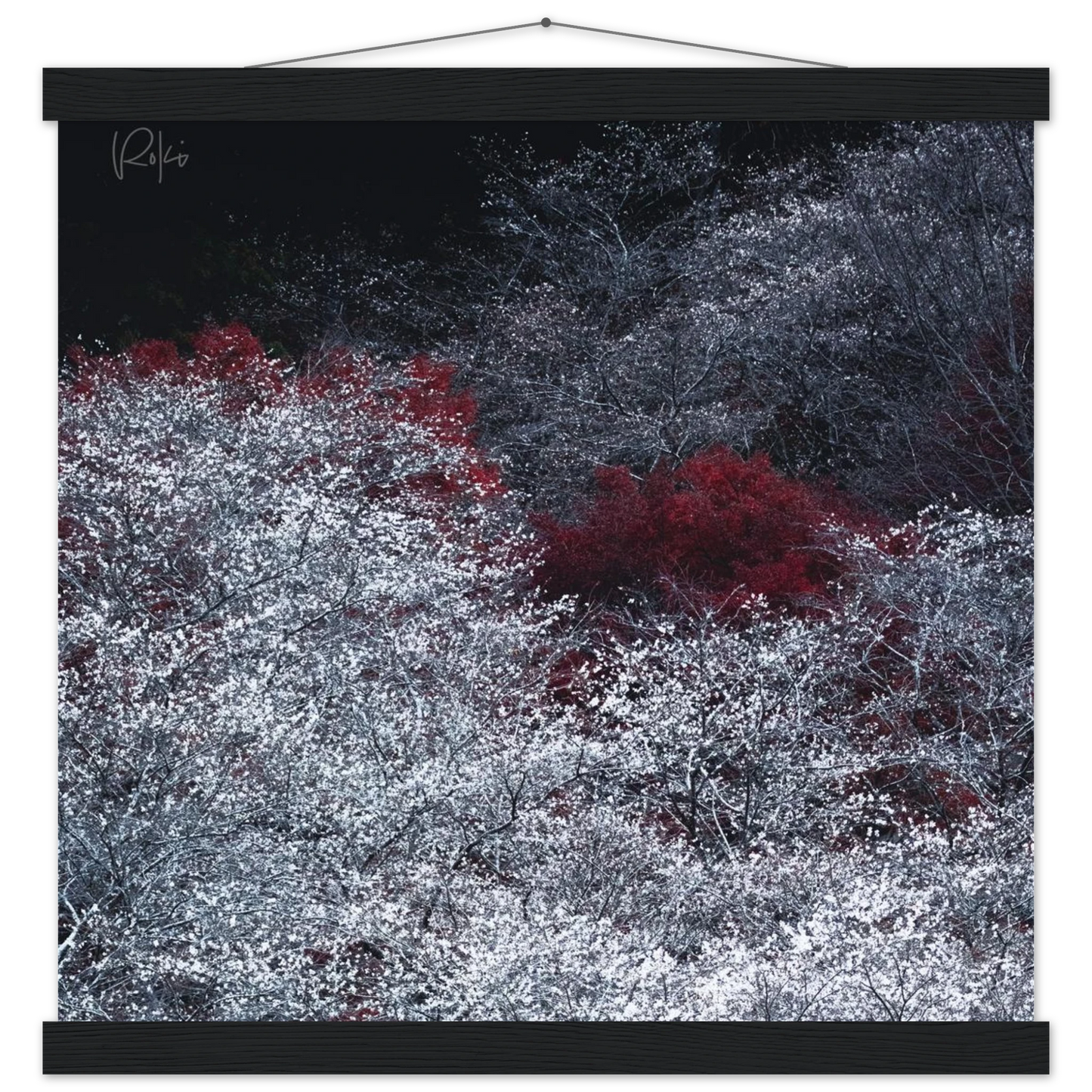 3d9ff2be-03be-4e7b-b444-da4f21408239