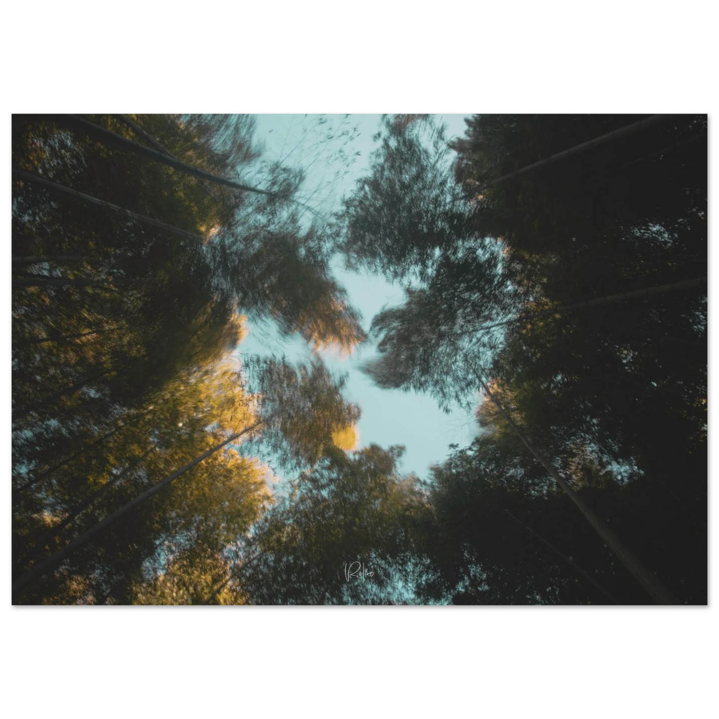 3f6d6223-25ed-4abc-abef-b9bfd7bc3be1
