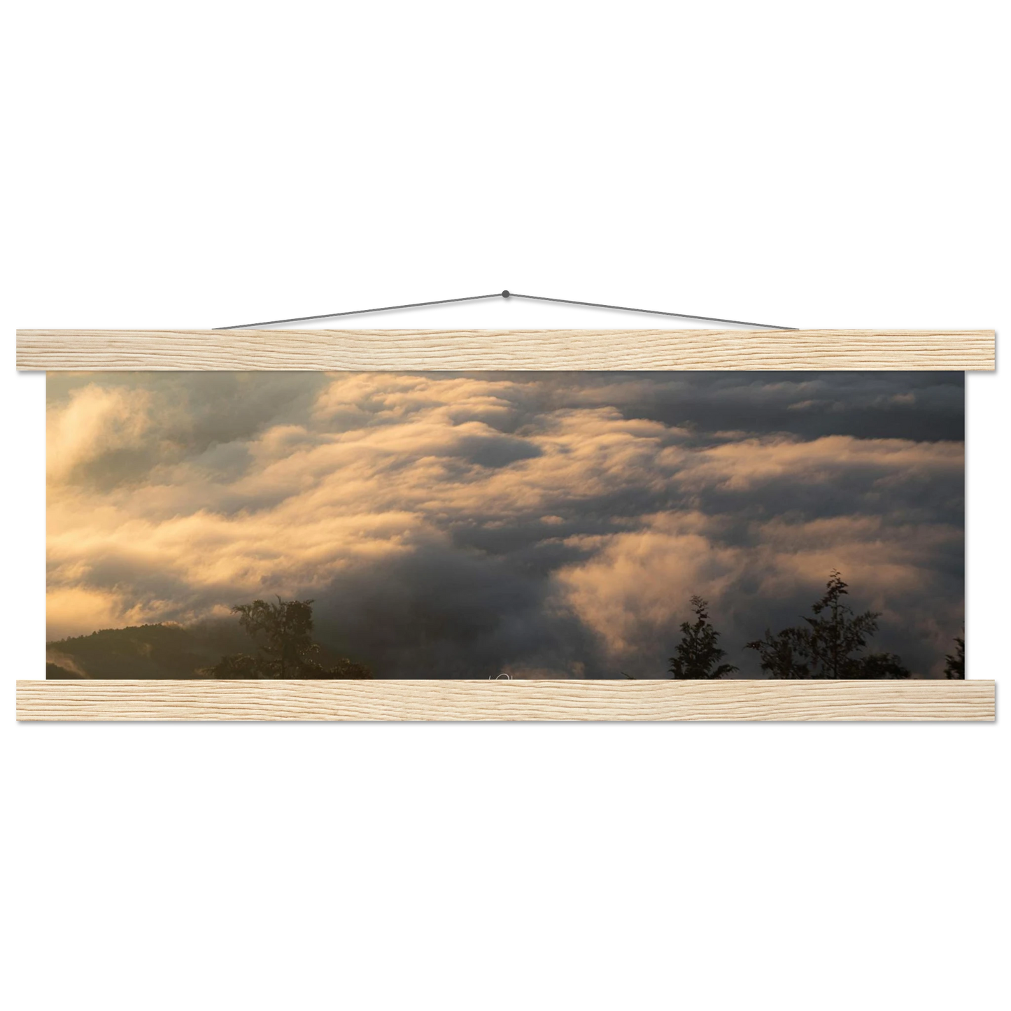 4336cb2c-8199-4acc-bc73-9f46fc53167a