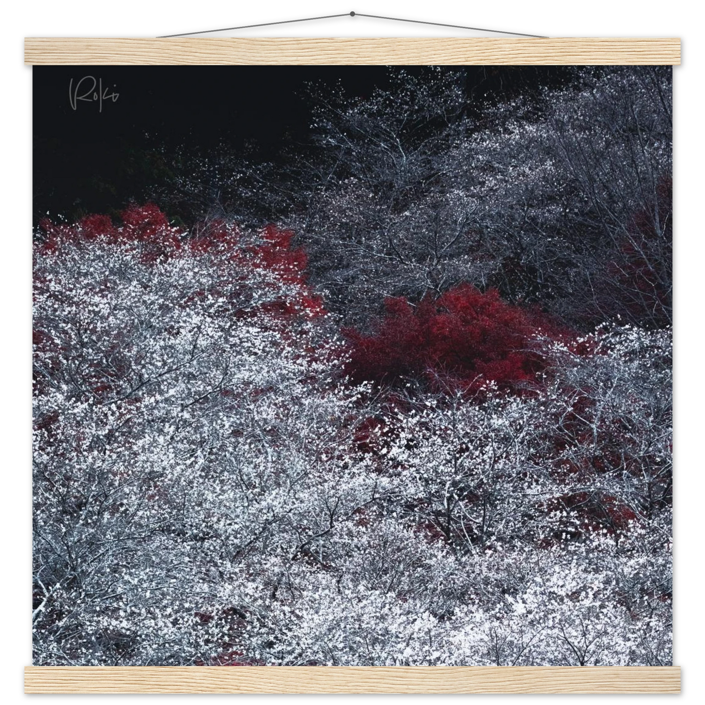 5d2d4935-4118-48ba-bccc-d08336f38a7c