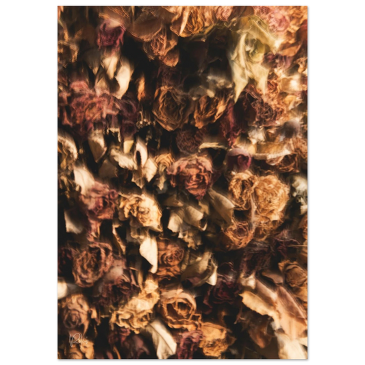 60138d84-240b-4d73-94e3-dd647c5673eb