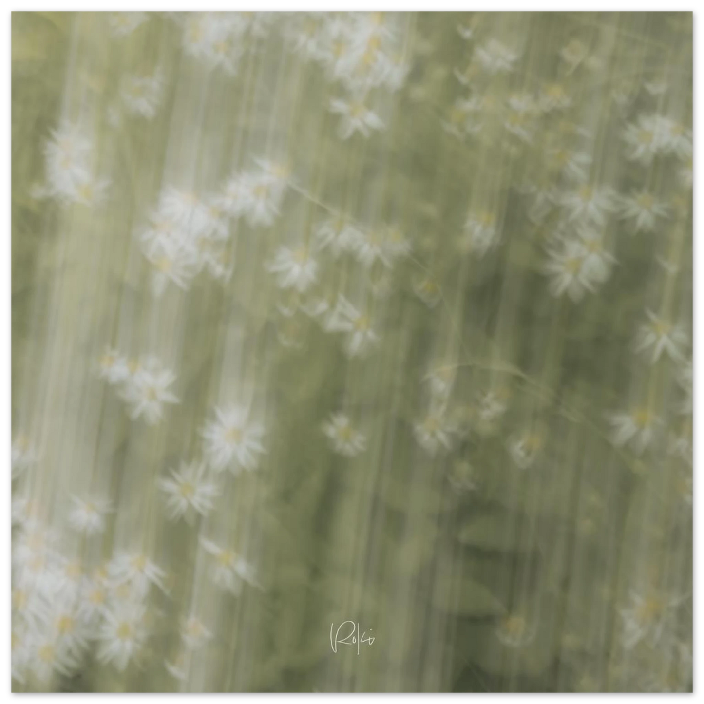68e610d5-52ca-40d6-998f-3f5fd91e22a7