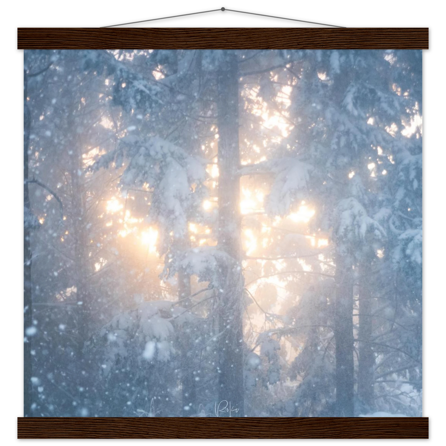 6d164b79-f3b1-49f4-b4f0-5558346d693a