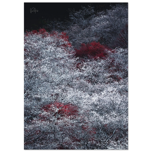 812c2d70-b1be-4b04-92d4-f7e2f682380c