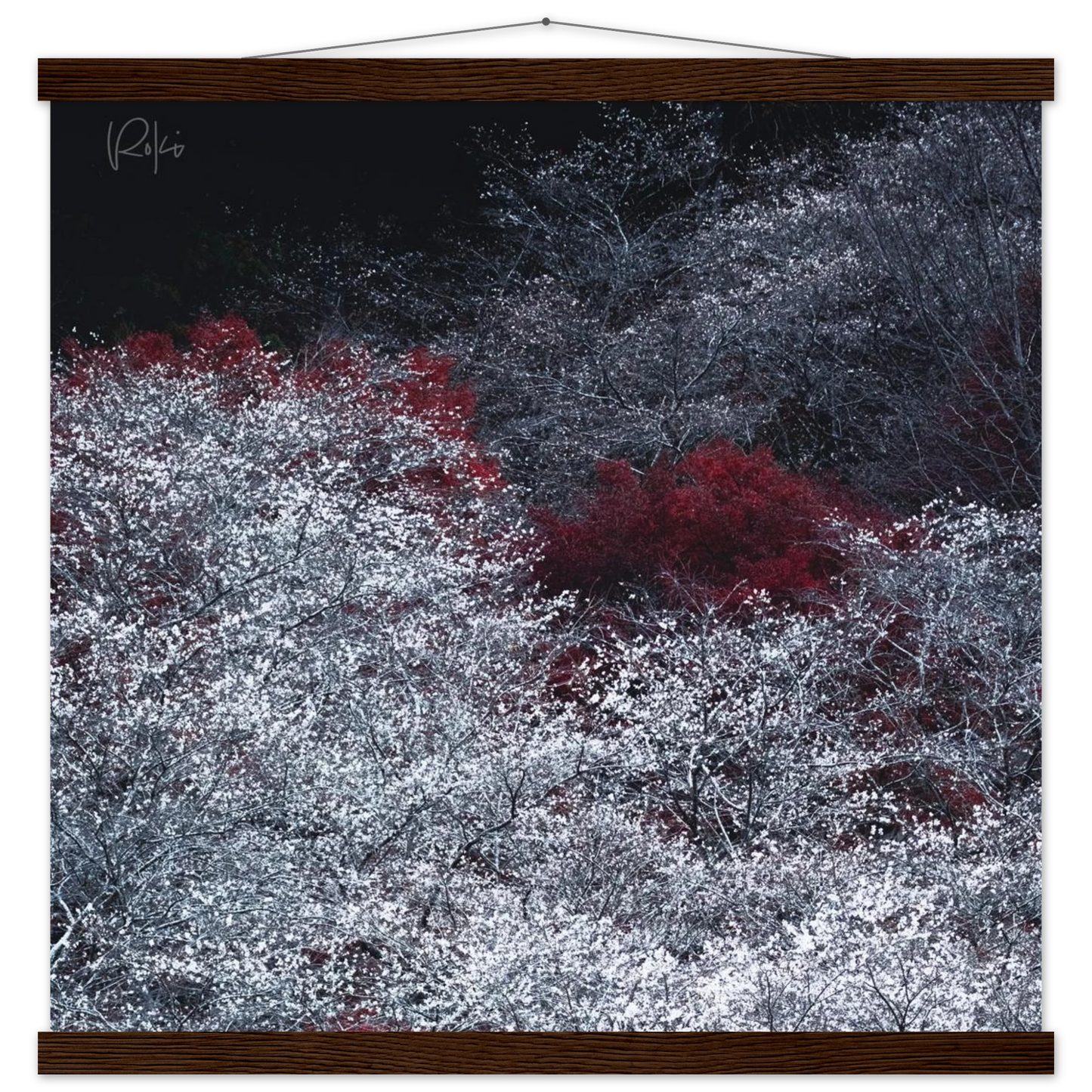 9225d4a2-9700-4579-a1bc-ed636ae0d923