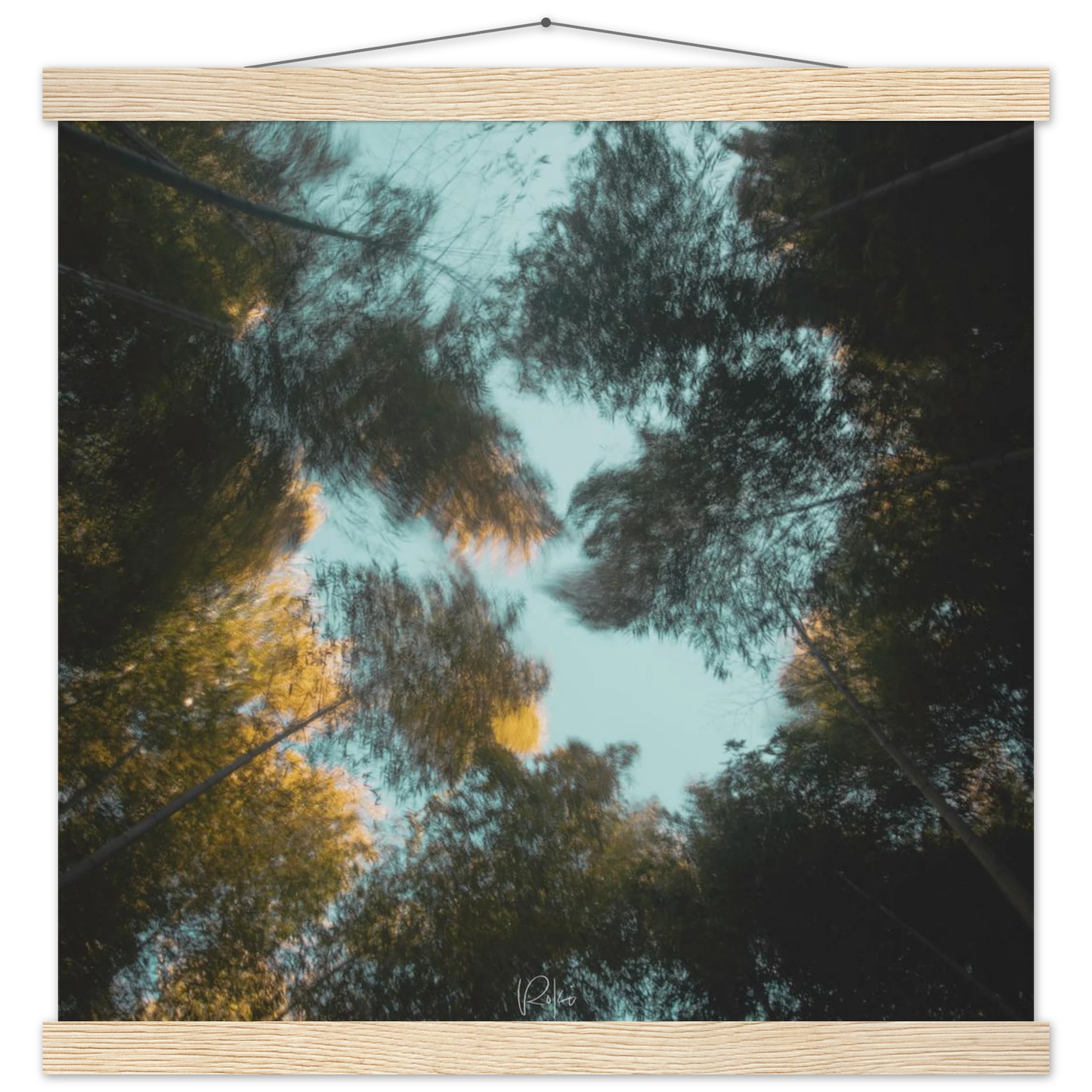 95811a42-fd65-4910-85f0-ca63630ec7c4