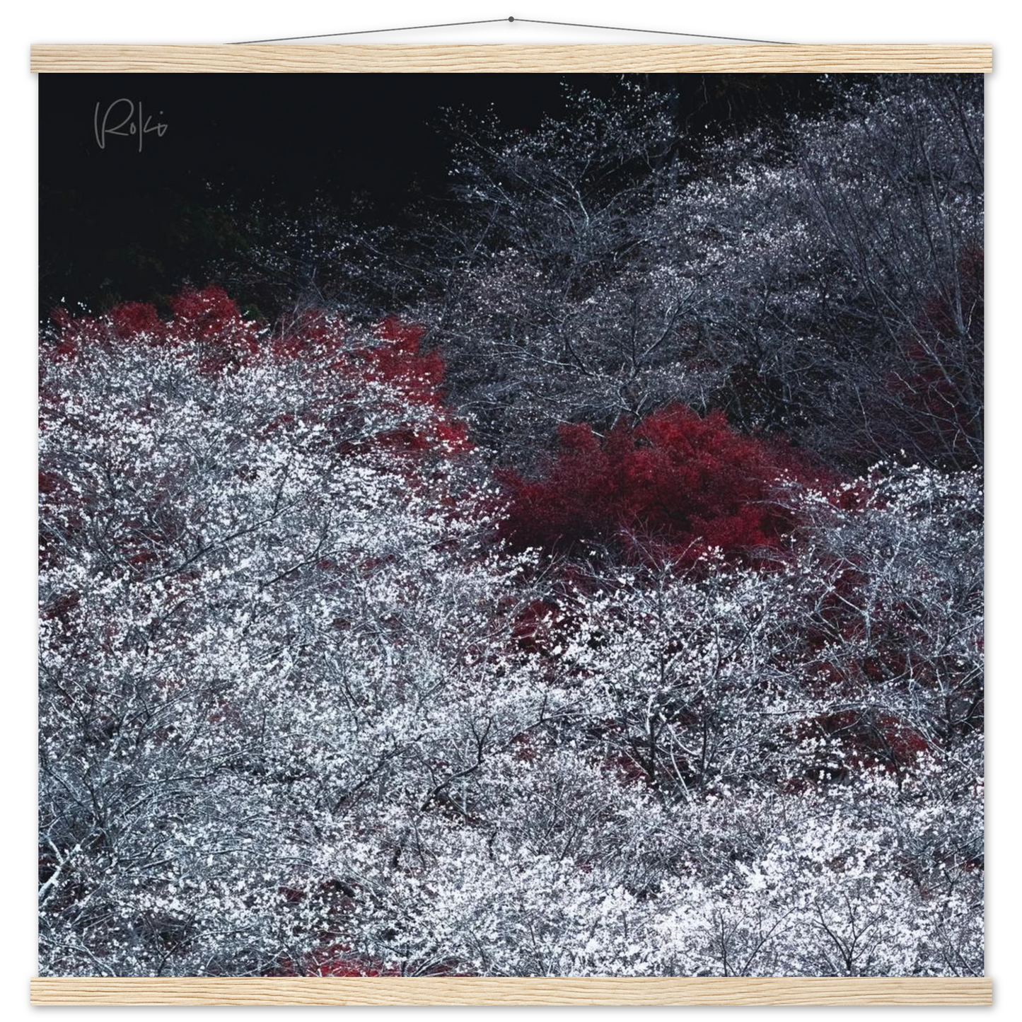 aa012f51-a1c4-4f15-b533-dec11c454b1c