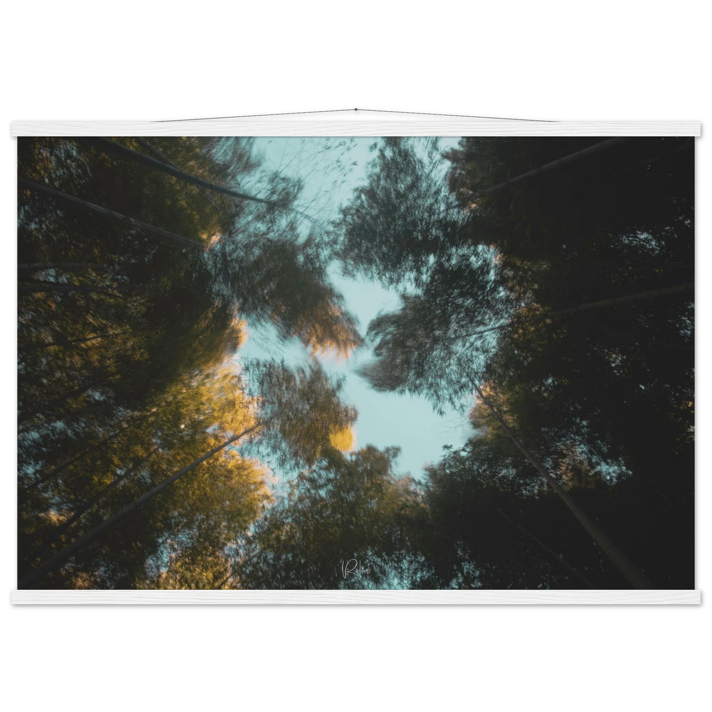 cbea0d89-ecdd-4a33-a25e-ed20ea5bddc4