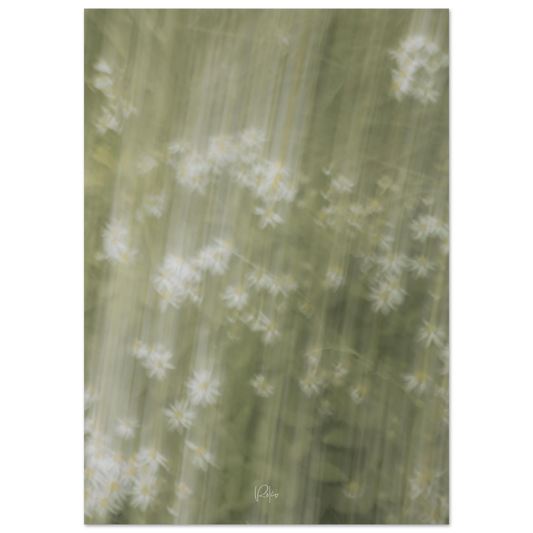 dc055a98-80b1-4e07-a8a6-f7a90a90ef2e