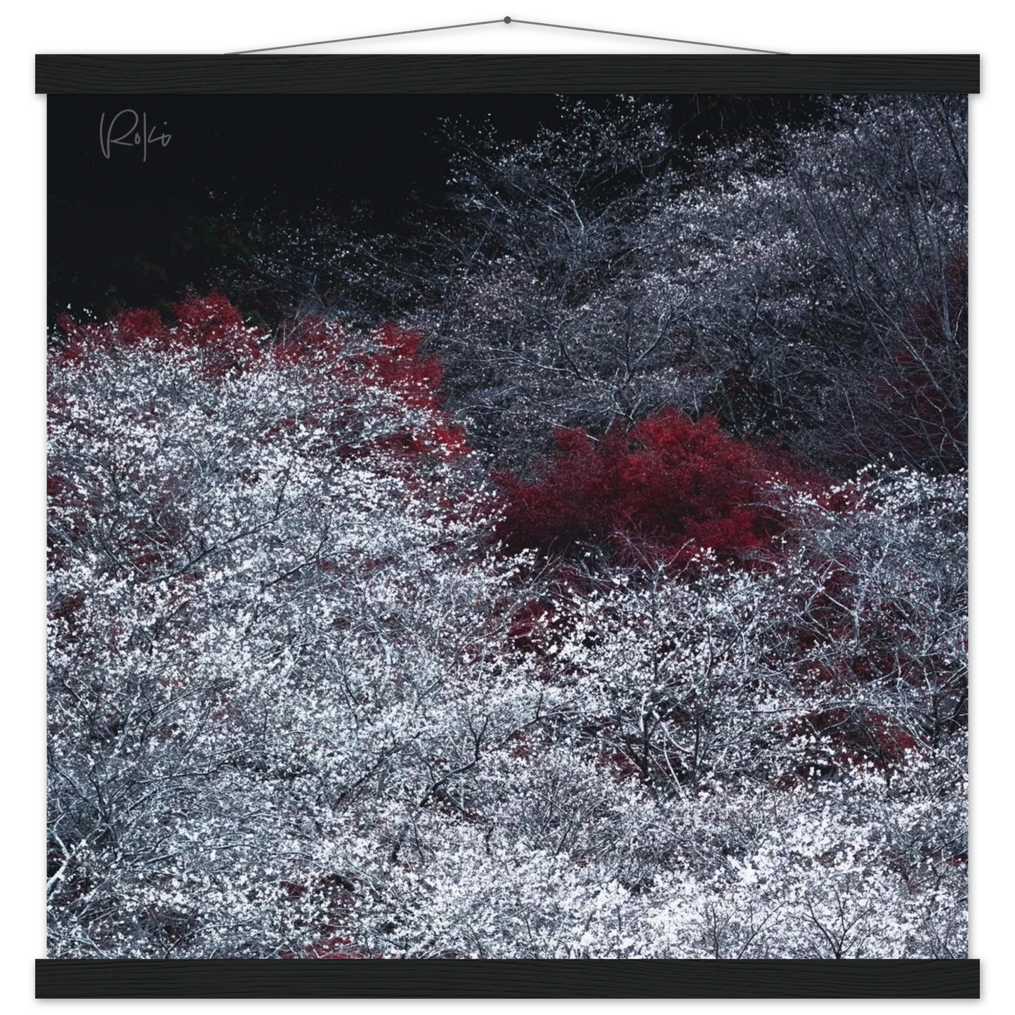 e43c5a27-ba4a-4833-bd8b-8c27b5b7b529