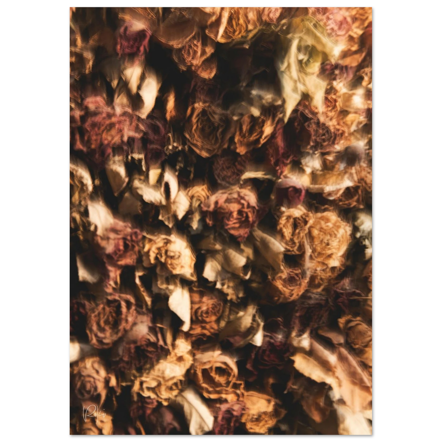 f0771823-c078-4b0f-89b2-a593876dc5e0