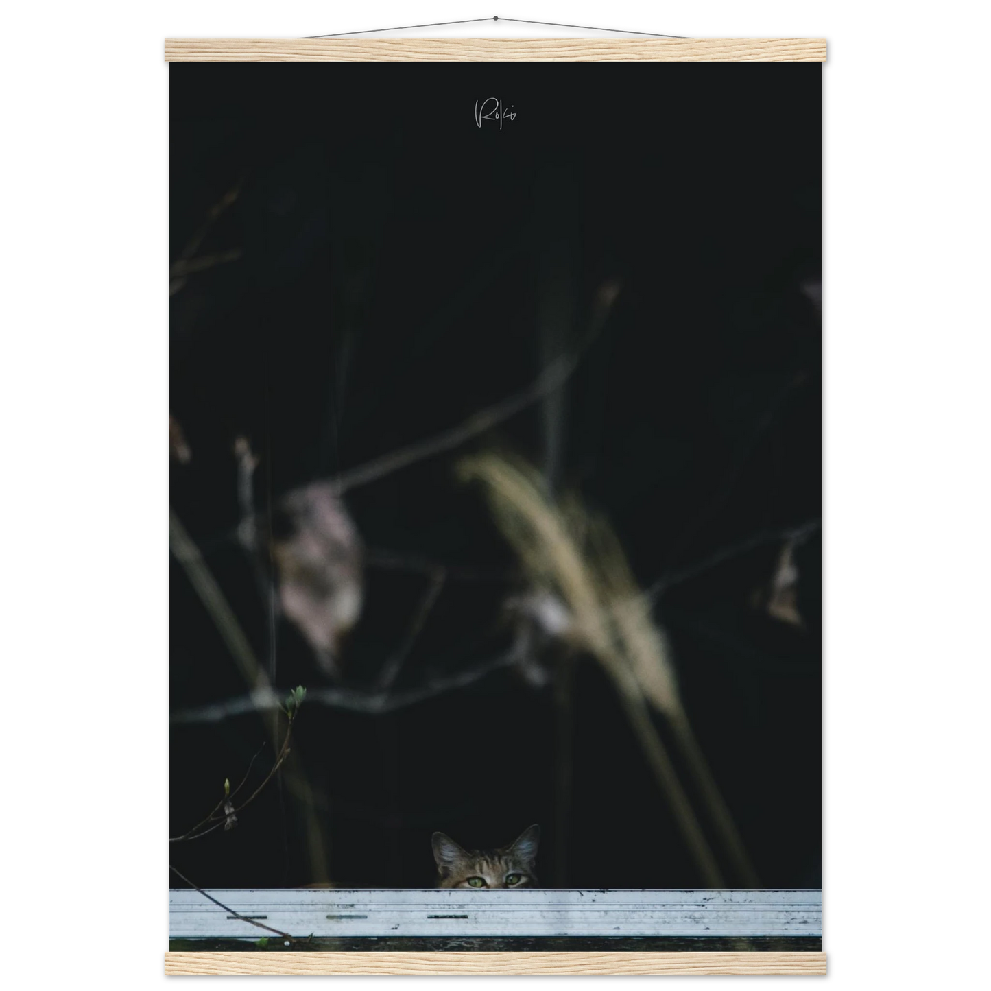 fc0c65c7-e744-464a-80e0-ce9f3992f29c